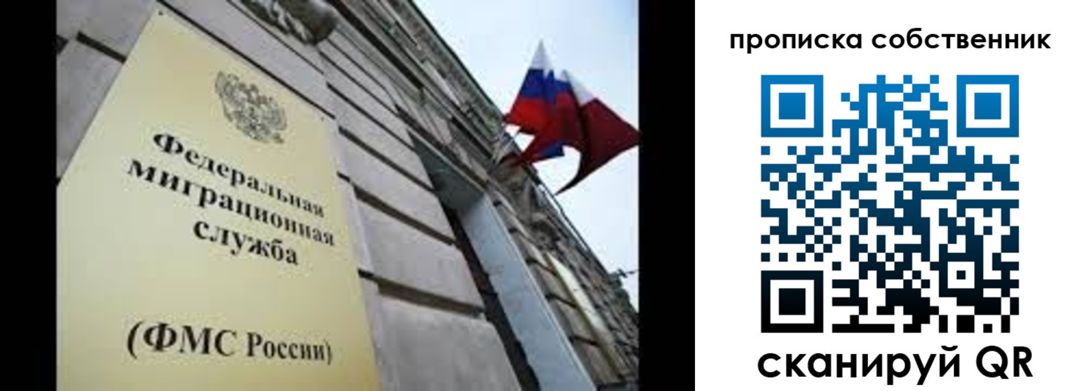 прописка гарантия в Коврове